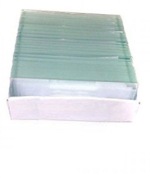 Microscope Slides