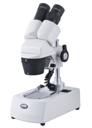 Stereo Microscopes