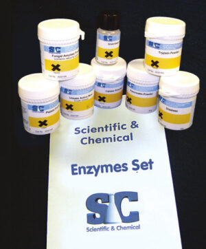 Enzymes - Enzymes Set