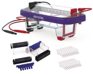 M12 Dual Electrophoresis Apparatus Includes: