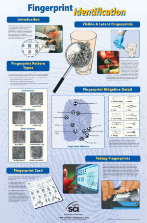 Fingerprint Identification 23×35”