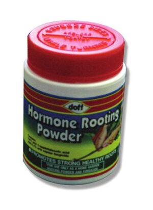 Hormone Rooting Powder