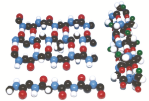 polypeptide - Alpha-helix - Protein